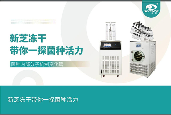 凍干機探尋菌種內部分子機制變化