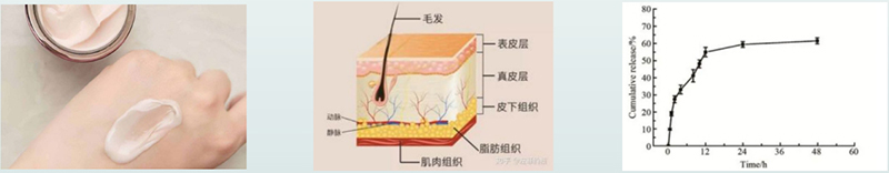 藥物體外透皮釋放試驗過程