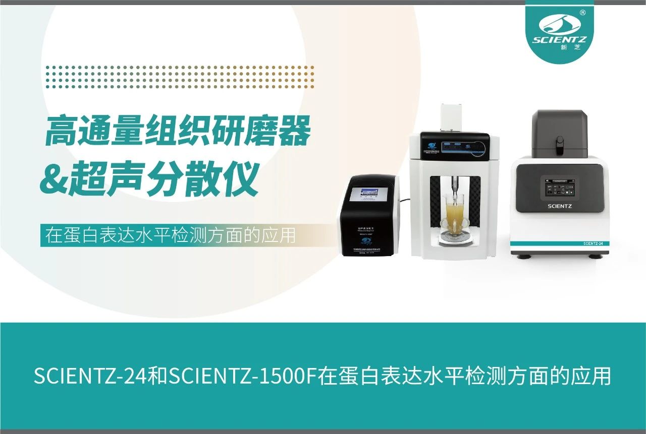 SCIENTZ-24和SCIENTZ-1500F在蛋白表達水平檢測方面的應用